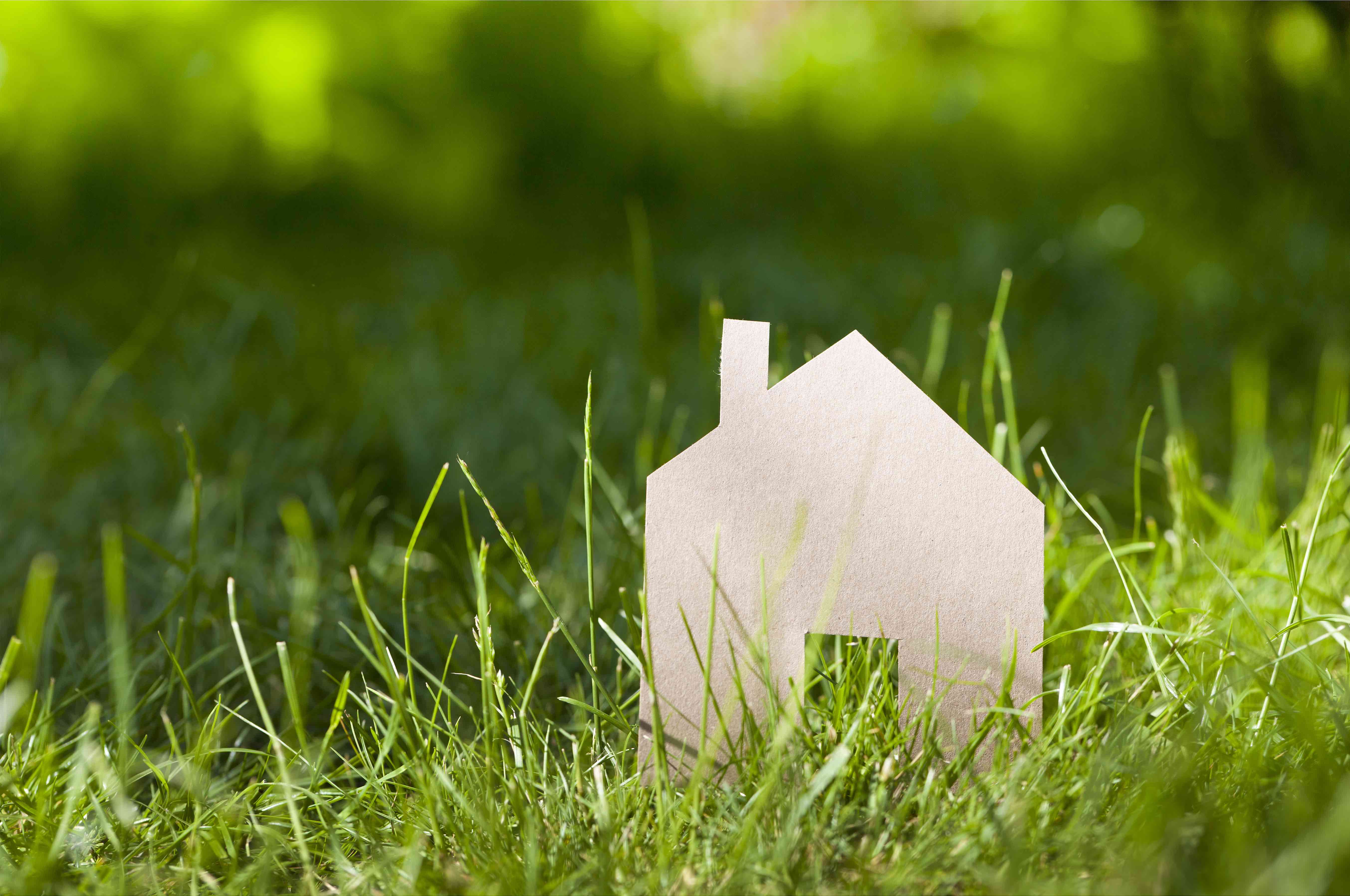 Utiliser l’enveloppe du riz dans toute sa maison ?