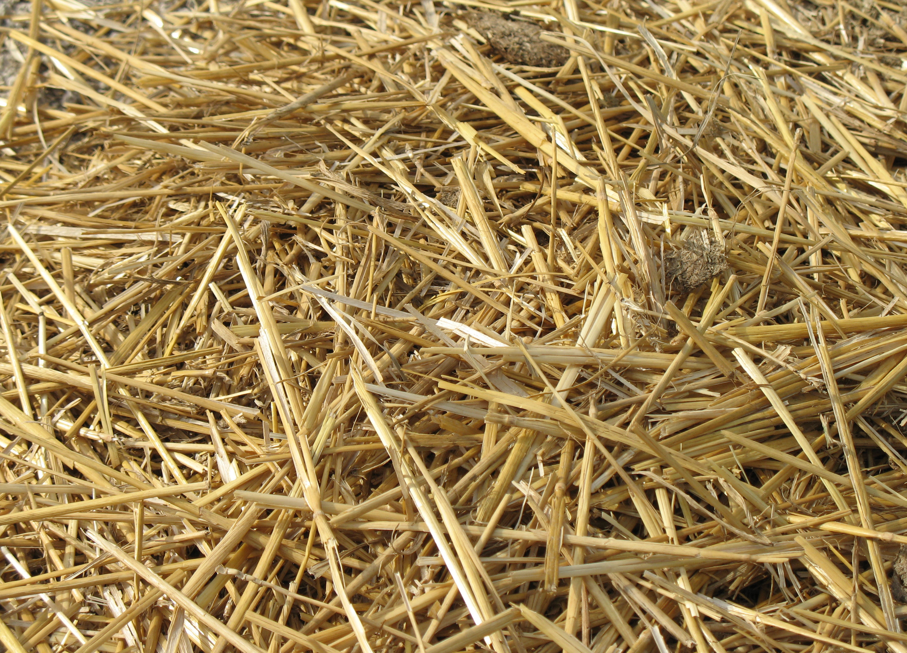 Isoler sa maison avec de la paille