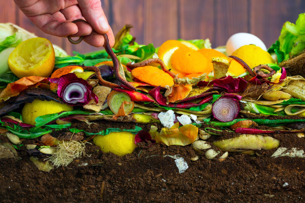 Que mettre dans le compost ?